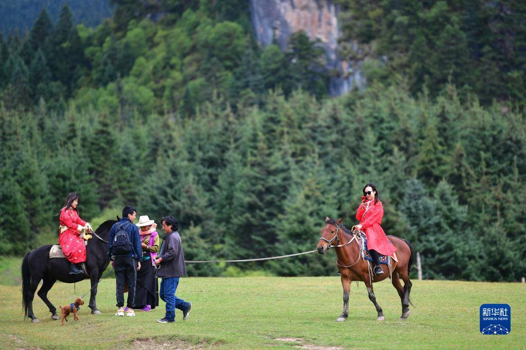 包含乡村特色骑马节，感受民族文化中的运动魅力的词条