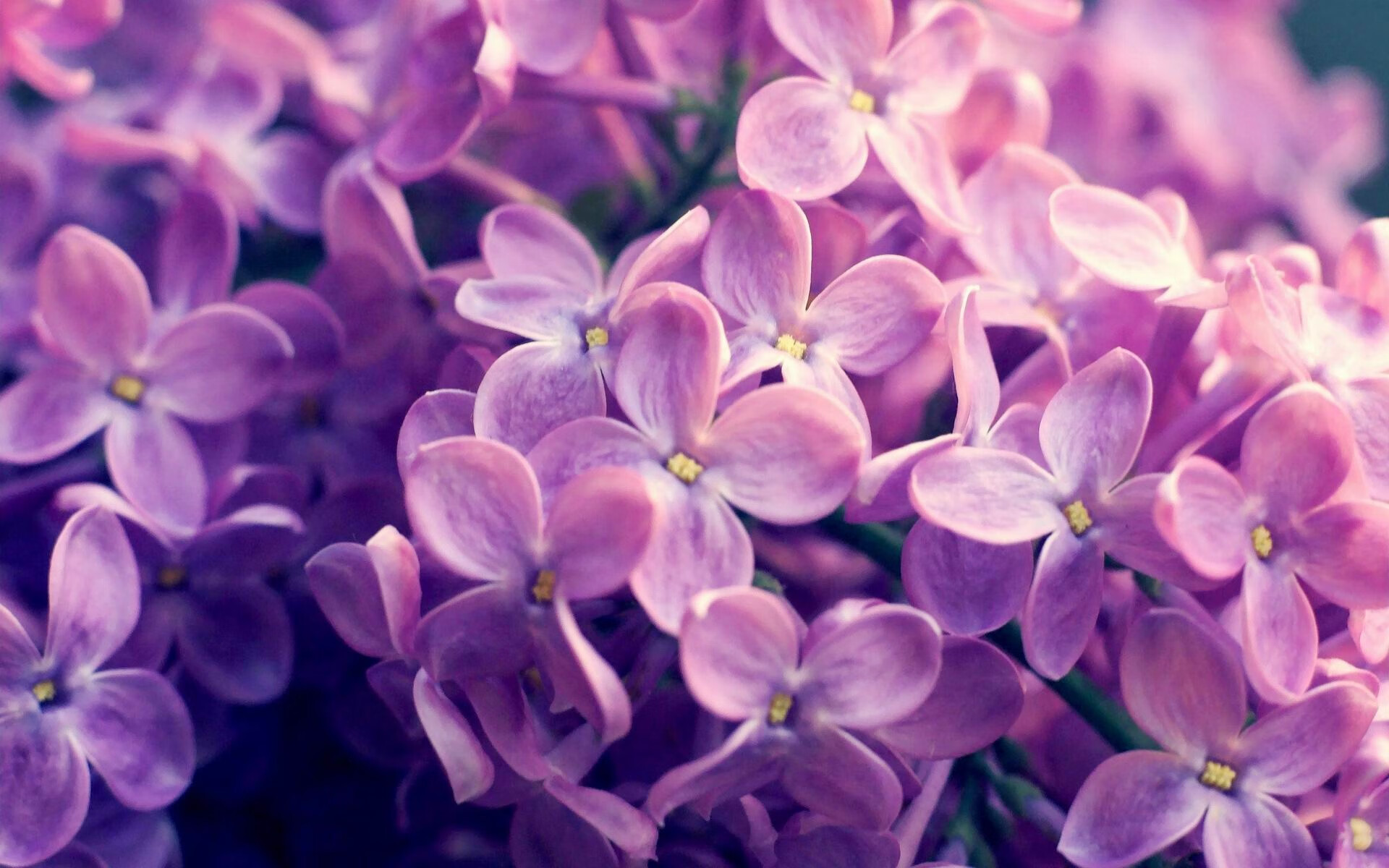 奇才球队球队新人表现备受期待,奇才队球员名单及薪水