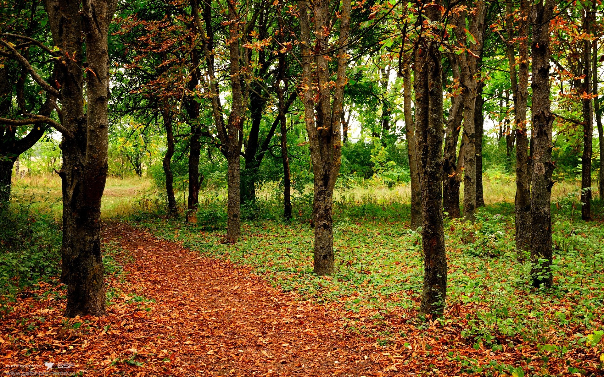新疆飞虎 防守效率提升,新疆飞虎外援最新消息