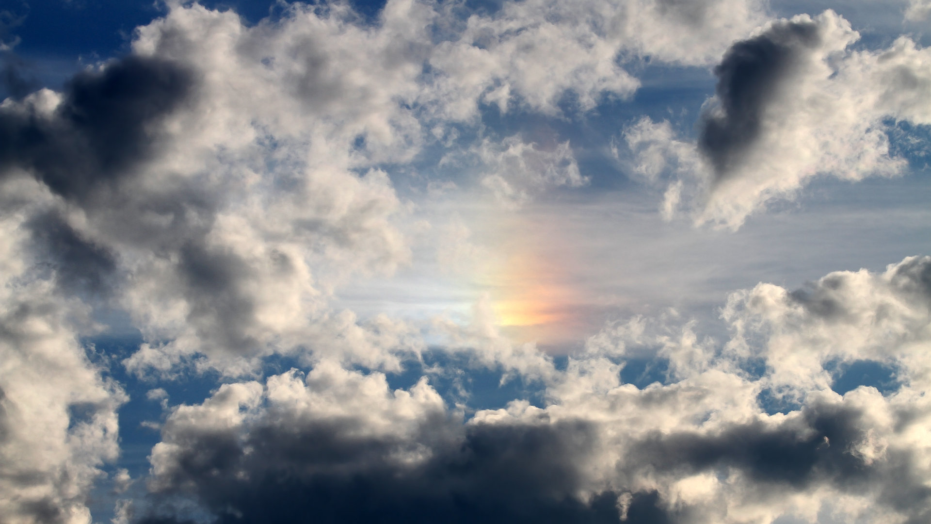 开云娱乐-辽宁本钢团队配合日臻成熟，辽宁本钢vs青岛每日优鲜