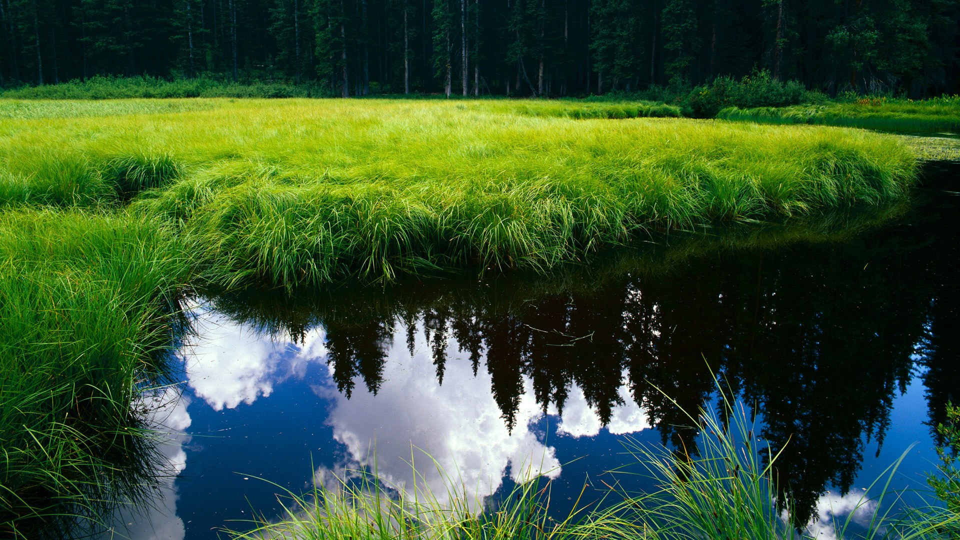 阿斯顿维拉客场平局,稳定发挥,球队保持不败状态,阿斯顿维拉引援