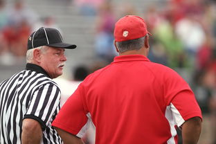 开云娱乐-意甲裁判语义分析辅助判罚准确性的应用探讨，意甲裁判名单