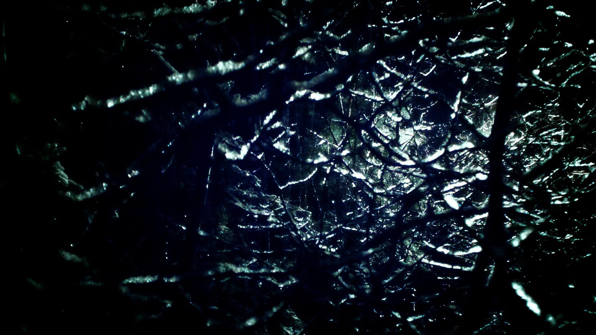 女子接力再夺冠 中国展现统治力,女子接力夺冠纪录