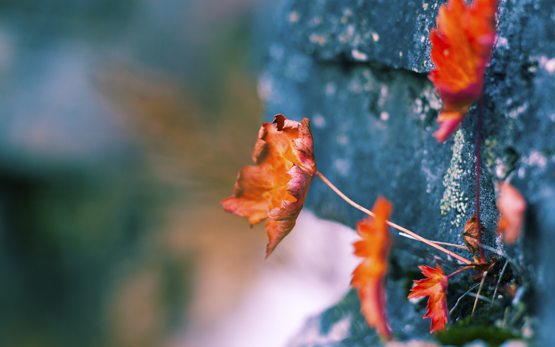 俱乐部年终总结大会顺利举行全面复盘部署来年发展蓝图,俱乐部工作总结报告范文大全