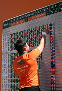 开云体育安全平台-格鲁吉亚女篮在欧洲锦标赛中夺冠，崭露头角的佳绩队伍，格鲁吉亚参加过欧洲杯吗