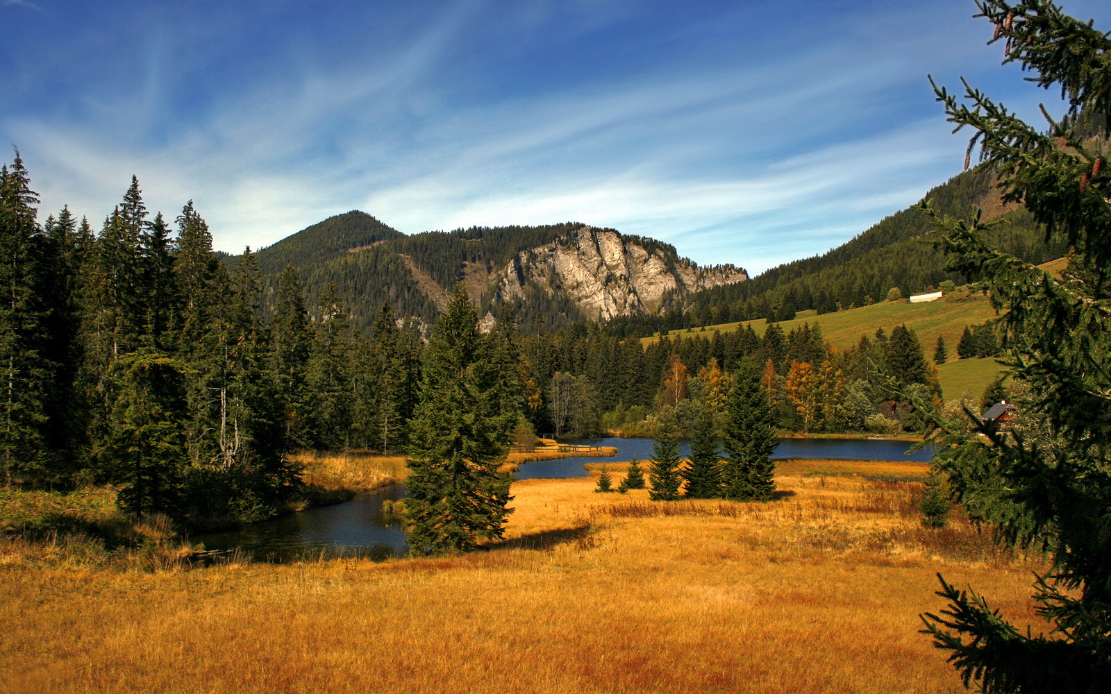 开云官方-游泳动作与国际顶级标准接轨，游泳技术动作
